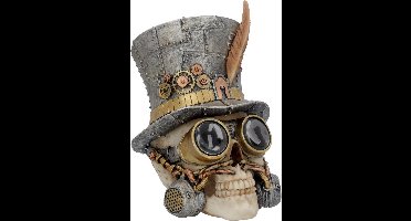 Beeld/figuur Count Archibald Schedel Multicolours - 20cm