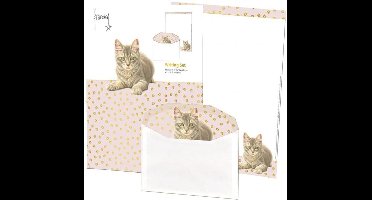 Briefpapier met enveloppen: Franciens Kittens