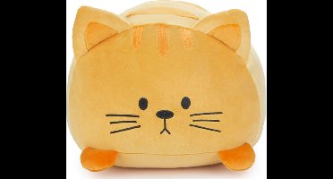 Cushion Kitty Tabby