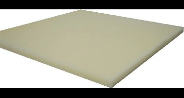 SuperFish Filter Foam 50x50x2CM Fijn
