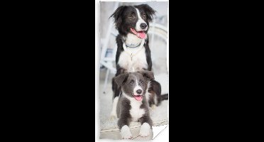 Animal Pictures Strandlaken Puppy and Dog - 70 x 140 cm - Katoen