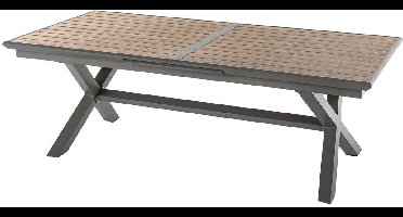 Uitschuifbare tuintafel voor 10 personen van aluminium met houtlook AXIOME