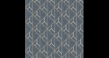 Galactik dessin d.grijs/beige L940-19