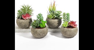 Boraboi® Realistische Kunstplanten Set van 4 voor Binnenhuisdecoratie en Kantoorinrichting