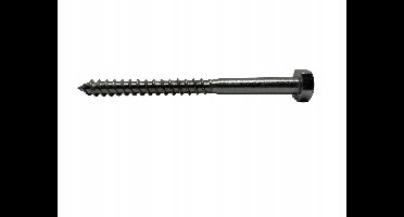 6x40 RVS Houtdraadbouten A2 DIN 571 - 10 stuks