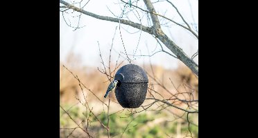 CJ Wildlife Nestkast - Aanbevolen door de Vogelbescherming Nederland - Malaga - 32mm - Nestkastje voor o.a. Koolmees, Boomklevers & Mussen - Woodstone Vogelhuisje - FSC-gecertificeerd - Zwart