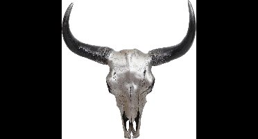 Decoratief Beeld - Schedel Stier Longhoorn - Polyresin - Brulo - Zilver - 15 X 42 Cm