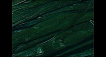 Raffia Folia 50gr. dennen- - groen