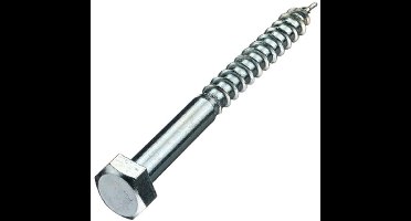 Houtdraadbouten - DIN571 Zeskant - M6 x 65mm - Verzinkt (200 stuks)