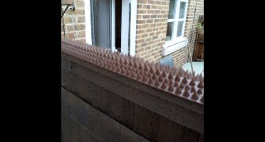 10 x Anti-klim Strip Bruin tegen Dieven - Katten en Vogels 50 cm