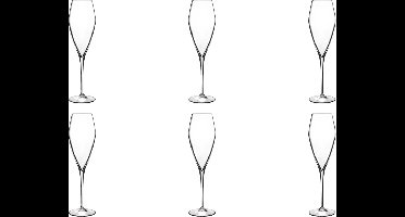 Luigi Bormioli Atelier Champagneglas Groot - 270 ml - 6 stuks