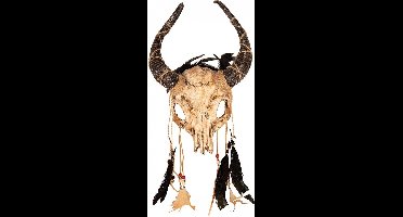 Voodoo masker schedel