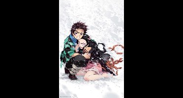 Poster Demon Slayer - Tanjiro & Nezuko Snow 61x91,5cm