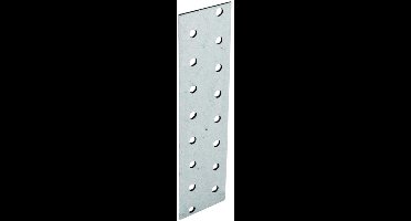 Koppelplaat - 40 x 160 x 2 mm - Verzinkt