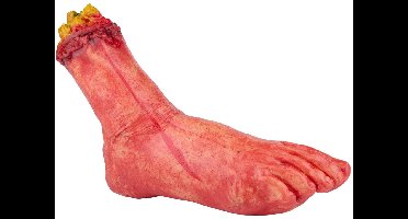 ARTICASA - Nep voet - Afgehakte voet - Halloween decoratie - 32 cm