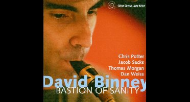 Bastion Of Sanity