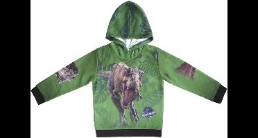 Cerda Jurassic Park Dino Hoodie 9-10 Jaar 134-140 Cm