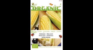 Buzzy® Organic Mais Golden Bantam (BIO) - Zoete maïs met een volle, rijke smaak