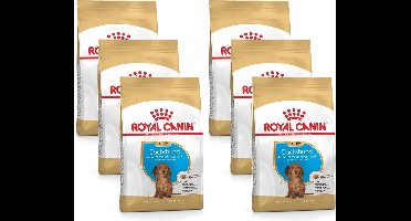 Royal Canin Dachshund - Puppy-Hondenvoer - 6 x 1.5 kg