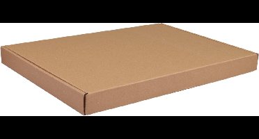 Brievenbusdoos A4+ met klep 370x260x28mm bruin 50 stuks