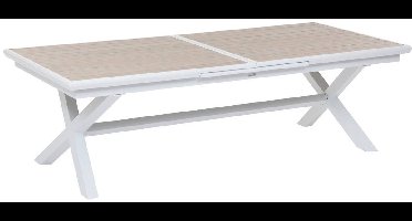 Uitschuifbare tuintafel voor 12 personen van aluminium AXIOME