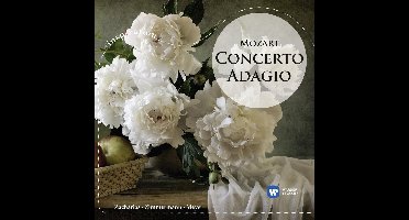 Concerto Adagio: Mozart