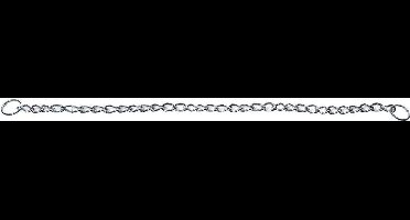 Flamingo Flo - Anti-trek Halsband Honden - Anti-trek Halsband Flo Extra Grof L 60cm 3,5mm - 1st