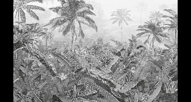 Komar - Fotobehang - Amazonia - Black - and - White - 400x250 - cm