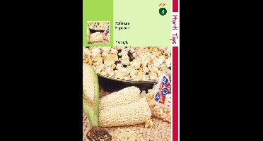 2 stuks - Hortitops - Pofmais Popcorn Plomyk Type Peppi