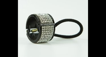 Staartklem zilverkleur