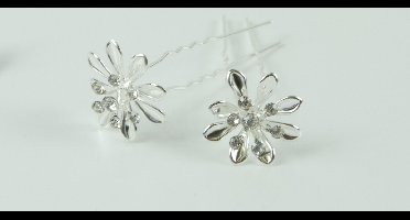 Haarpinnen bloem groot strass points