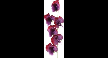 PTMD Garden Bloem Sweetpea Kunstbloem - 6,5 x 6,5 x 45,5 cm - Paars