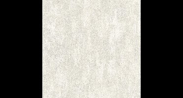 BETONLOOK BEHANG | Industrieel - grijs wit - A.S. Création Concrete & More