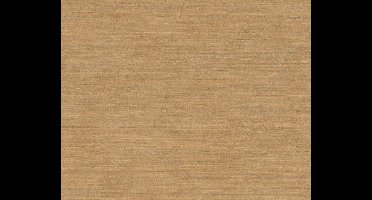 HORIZONTALE STREPEN BEHANG - Bruin Metallic - AS Creation Titanium 2