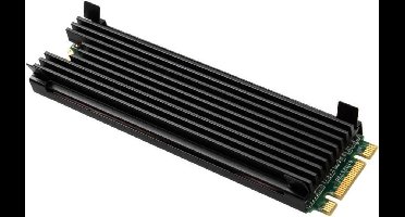 Thermal Grizzly M.2 SSD Koeler - TG-M2SSD-ABR