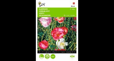 Buzzy Papaver Klaproos Shirley dubbelbloemig gemengd