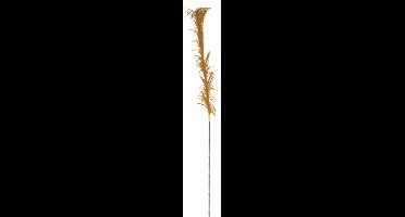 Deco4yourhome® - Pluim - Tak- 4 x 15 x 112 Cm - Goud - Veer - 4 stuks