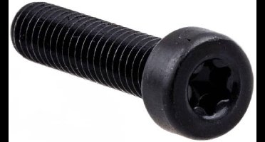 Husqvarna K960 Serie - Interne Torx schroef - M6 x 25 - 12.9 - 544218401