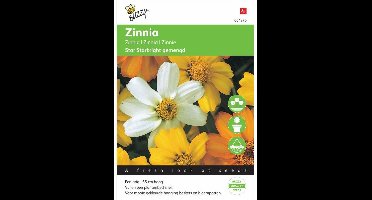 Buzzy® Zinnia angust Star Starbright mixed