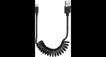 Lampa IPhone Kabel USB A naar Lightning - 1m - 8 Pin - Zwart - Voor Ebike - Motor - Auto - Origineel