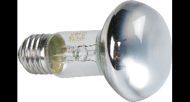 ZM Repti Basking Spot Lamp - 60 w.