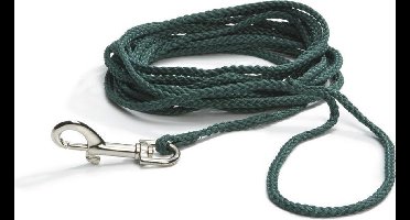 Beeztees Zoeklijn - Hondenriem - Nylon - Groen - 5M