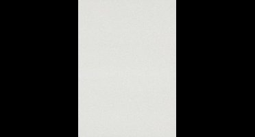 Dutch Wallcoverings Vliesbehang Uni - Lichtgrijs