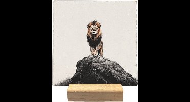 Decoratie tegel - Leeuw op rots - natuursteen - 10x10 cm - inclusief houder