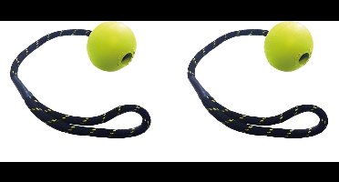 Happy Pet rubber bal aan touw Large drijvend hondenspeelgoed - 2 stuks - Multipack