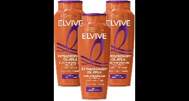 3 x L’Oréal Paris Elvive – Shampoo – Extraordinary Oil Amla – Droog & Krullend Haar – 250 ml - Voordeelverpakking - 3 stuks