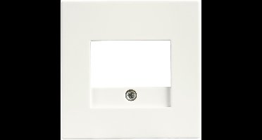 ION Industries V1/J1 Centraalplaat TAE/UAE/USB - Telefoon- en USB-aansluiting in één Plaat - Compact Ontwerp - Breedte 80 mm - Kleur Mat Alpin Wit - 2 Jaar Garantie