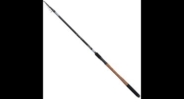 Shimano Fishing Catana Ar Tegt Wrap Telescopische Surfcasting Hengel Goud 4.20 m / 40-100 g