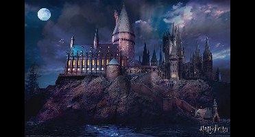 GBeye Poster - Hole In The Wall Harry Potter Maxi - 61 X 91.5 Cm - Multicolor