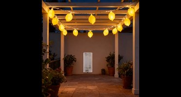 Arti Casa Lichtslinger Citroen - 10 Lampjes - LED Verlichting - Werkt op 2xAA Batterijen - Verlichte Lengte 200 cm - Voor Binnen Gebruik - Sfeervolle Decoratie - Kleur Geel